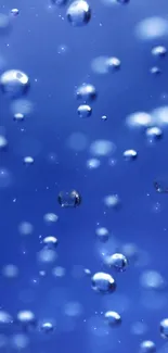 Blue bubble wallpaper with serene floating bubbles.