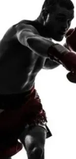 Silhouette of a boxer throwing a punch with red gloves.