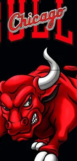 Chicago Bulls fierce red bull wallpaper