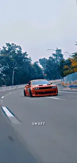 A red car speeding on a forest road, creating a dynamic scene.