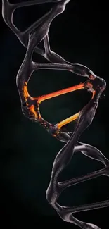 Dynamic DNA strand with fiery orange highlights on a black background.