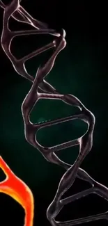 Vibrant DNA structure on dark background.