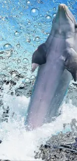 Dolphin jumping through splashing blue ocean water.