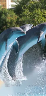 Three dolphins gracefully leaping in the ocean water.