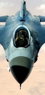 A blue-gray fighter jet against a cloudy sky background.