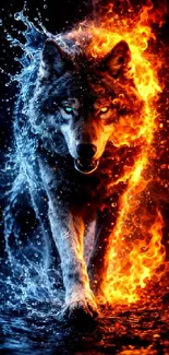 Wolf engulfed in contrasting fire and ice elements.