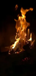 Dynamic fire flames glowing with a dark background.