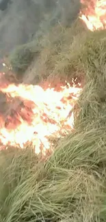 A dramatic landscape with fire engulfing dry grass.