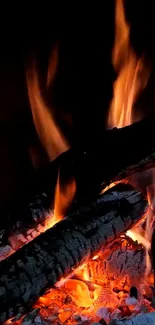 Vibrant fire log with flames and embers on a dark background.