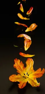 Vibrant mobile wallpaper with orange and yellow flower petals on dark background.