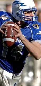 Football player preparing to throw during a game.