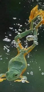 Dynamic green frog swimming underwater with vibrant yellow feet and bubbles.