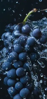 Splashing grape cluster with water on dark background.