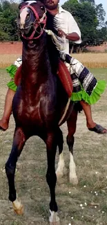 Horse with rider in open field, vibrant scene.