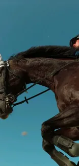 Horse jumping with rider under a clear blue sky.