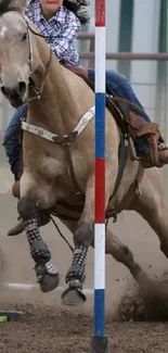 Horse racing through poles in dynamic action scene.