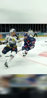 Two ice hockey players in an intense match on a rink.