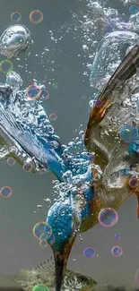 Diving kingfisher with bubbles underwater.