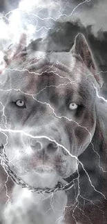 Fierce dog with intense lightning in a stormy grey sky wallpaper.