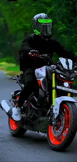 Motorcyclist in black gear riding on vibrant scenic road.