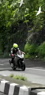 Motorcyclist on lush green road, vibrant and adventurous.