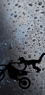 Motorcycle stunt silhouette against rainy backdrop.