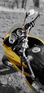 Yellow and black motorcycle on grassy path in wallpaper.