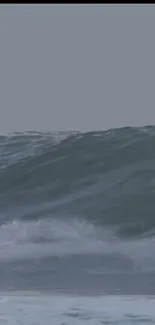 Dynamic ocean wave with deep blue water and white frothy crests.