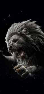 Dynamic and fierce roaring lion on a dramatic black background.