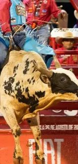 Rodeo bull ride in vibrant colors, capturing the thrill and action.