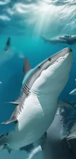 A dynamic shark charging through ocean waves.