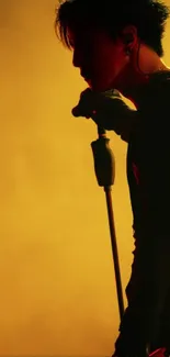 Silhouette of a performer on stage with a golden background.