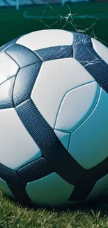 Close-up of a soccer ball on lush green grass field.