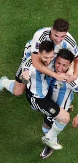 Soccer players celebrating in triumph on lush green field.