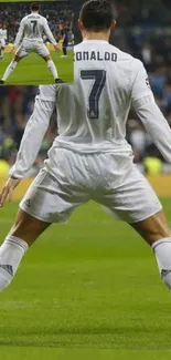 Soccer player in action on the field with crowd cheering.