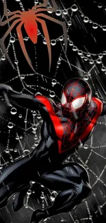 Dynamic Spider-Man on a black web background wallpaper.