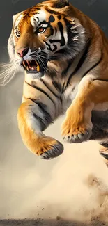 Tiger leaping in dynamic motion, creating a powerful wildlife scene.