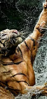 Majestic tiger leaping through water in dynamic mobile wallpaper.