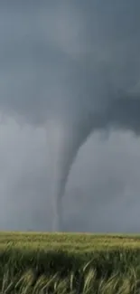 Dynamic tornado swirling over green fields under a dramatic gray sky.