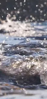 Dynamic water splash with shimmering droplets in natural setting.