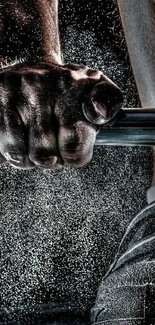 Dynamic grip on barbell with chalk dust.