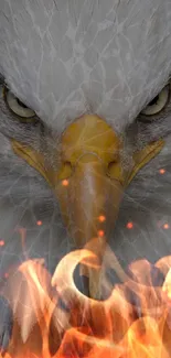 Fierce eagle with flames mobile wallpaper.