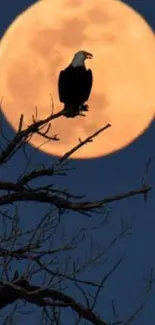 Eagle silhouette perched on branches against a full orange moon.