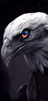 Majestic eagle with colorful eye on dark background wallpaper.