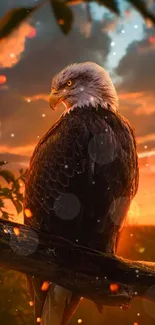 Majestic eagle perched at sunset with glowing sky.