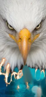 Close-up of eagle's intense gaze with vibrant teal background.