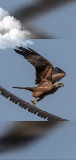 Eagle soaring in blue sky with clouds.