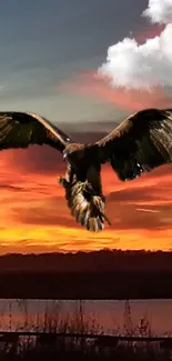 Eagle soaring across a vibrant sunset sky with colorful clouds.