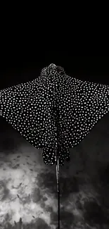 Black-and-white eagle ray gliding gracefully underwater.