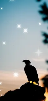 Silhouette of an eagle at sunset against a vibrant sky.